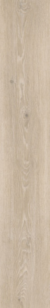 Heartwood Latte STR 198x1198 (CP)