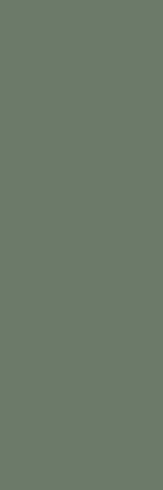 Nightwish Green 250x750 (CP)