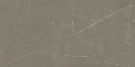 Linearstone Taupe Mat 598x1198 (CP)